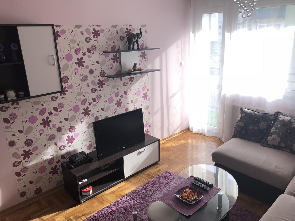 Appartement Apartman Ivana à Novi Sad Extérieur photo